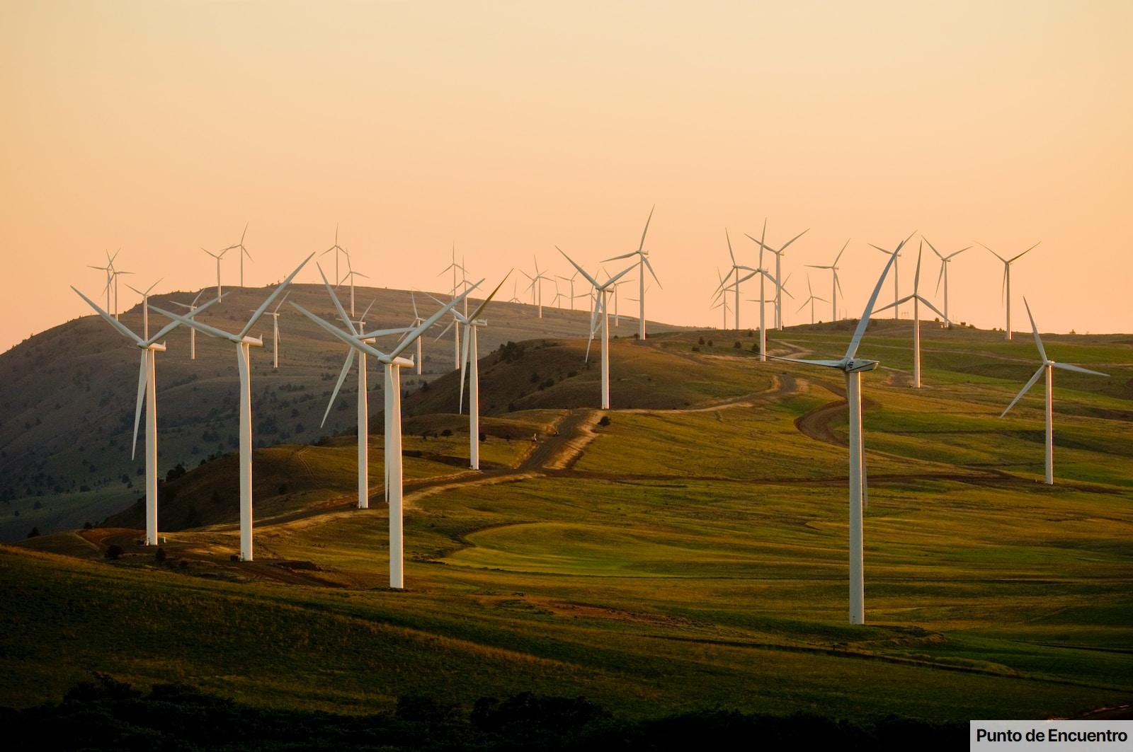 windmills on green field under white sky during daytime