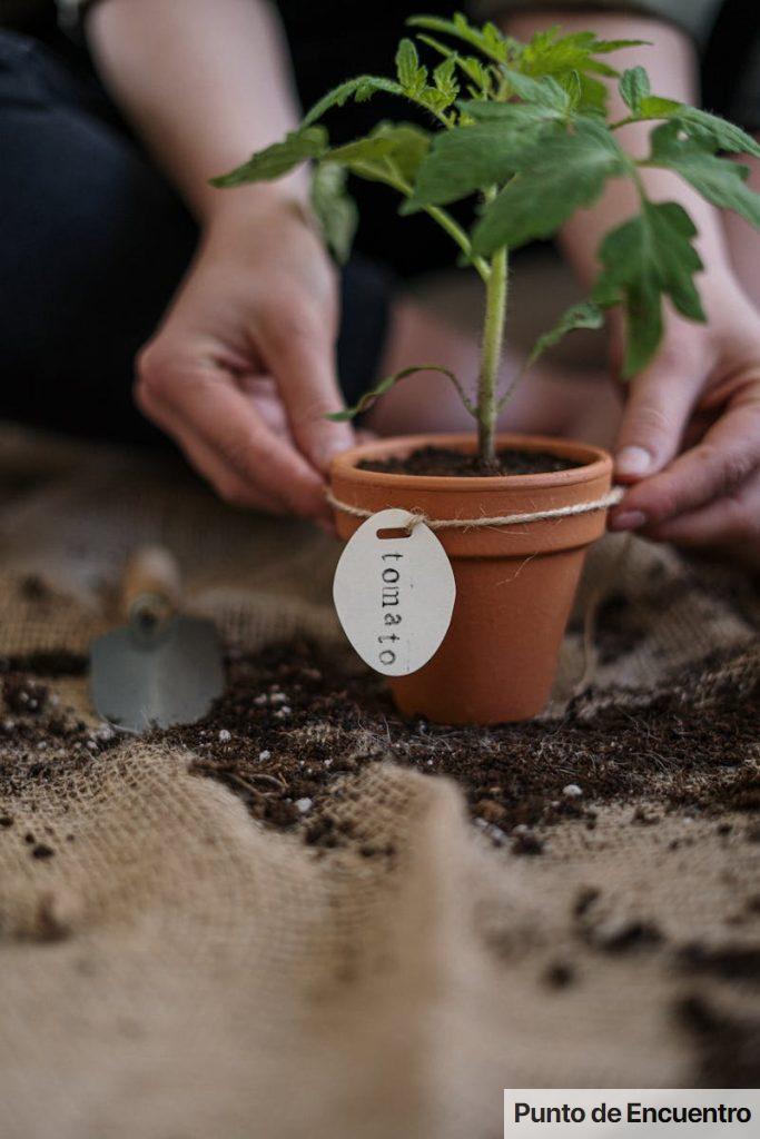 Jardinería