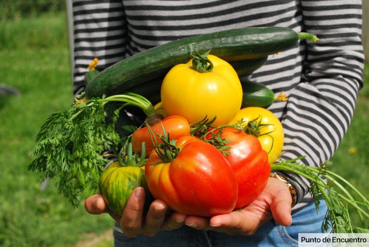 Huerta