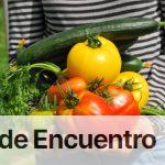 Huerta